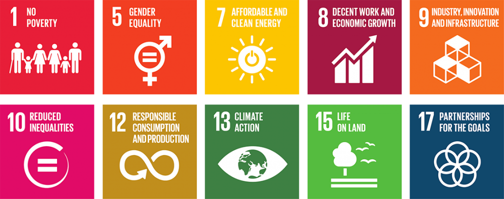 Objectifs de Développement Durable de l'ONU pour Moringa
